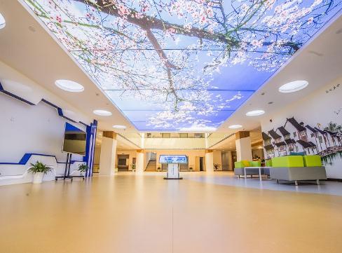 嘉兴大树银龄护理院_嘉兴临终关怀老年公寓,嘉兴临终关怀老年公寓有哪些