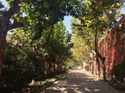 徐州天爱家园_徐州连锁养老院排名前十,徐州口碑最好的养老院