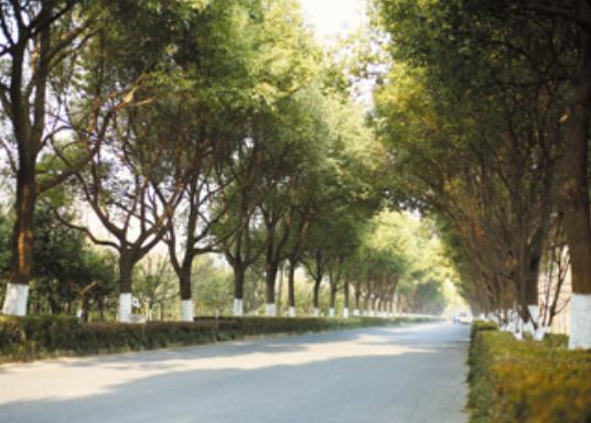  扬州市阿波罗颐养护理院_扬州带医疗养老院查询,扬州医养结合养老院