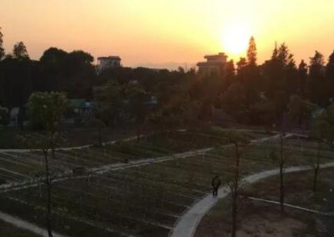 珠海曦之原候鸟度假养生养老基地_珠海养老院,珠海养老院收费最低是哪家