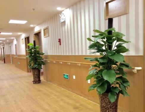 乐善之家公园壹号老年养护院环境图片