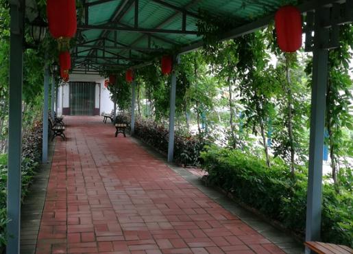 珠海市慈安护老中心_珠海比较好的养老院,珠海比较好的养老院排名