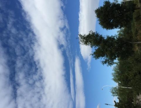  北戴河尧尧老年度假公寓_秦皇岛风景优美养老院有哪几家