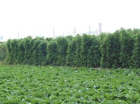 佳木斯心莲心老年公寓环境图片