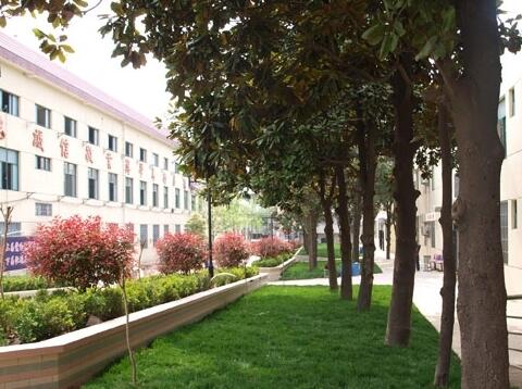 南京市向阳养老院环境图片