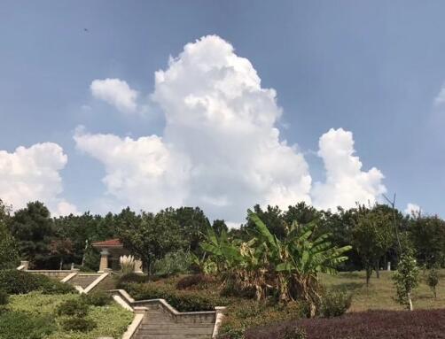 南京钟山颐养园_南京7000元养老院查询,南京养老院网站