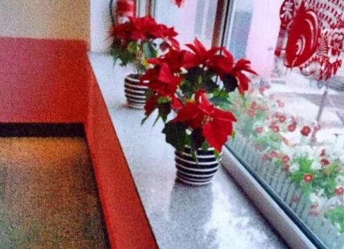 延边夕阳红老年福利院_延边老年公寓地址,延吉老年公寓