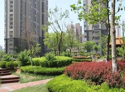 青岛鹤鸿春康健管理中心_青岛连锁老年公寓,青岛老年公寓包吃包住