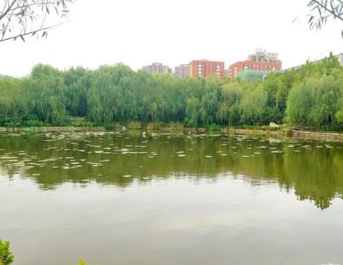 青岛中康颐养护理院环境图片