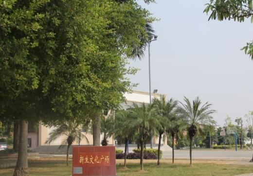 深圳市利群颐养院环境图片