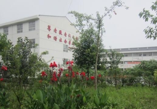 绵阳市游仙区常青藤颐养苑_绵阳比较好的老年护理院排名,绵阳老人护理中心