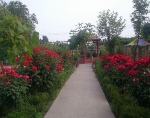 安阳福寿居老年公寓_安阳周边养老院,安阳周边养老院有哪些