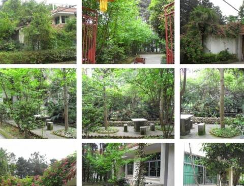 南充市高坪区青松园疗养院_南充较好的养老院列举几家,南充有哪些好的养老中心