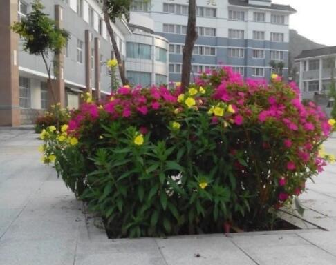 宜川县社会福利中心环境图片