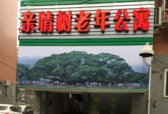 南充顺庆区亲情树老年公寓_南充8000元老年公寓,南充高端的养老院有吗