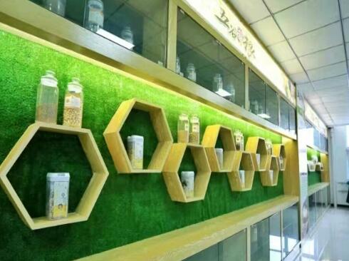 鹤壁市养老公寓环境图片