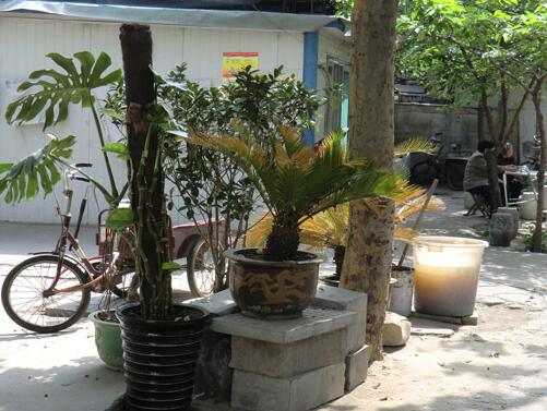  济宁市任城区顺馨老年公寓_济宁残疾人老年公寓一览表,济宁市残疾人康复医院