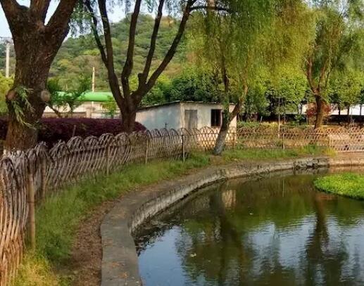 湖州南浔区善琏含山老年公寓_湖州养老院费用价格,湖州养老院费用价格表