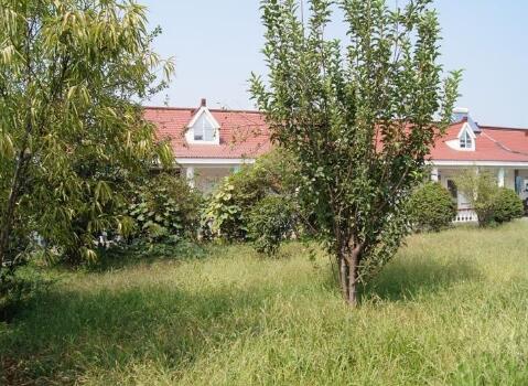 南京市建邺区兴达老年公寓环境图片