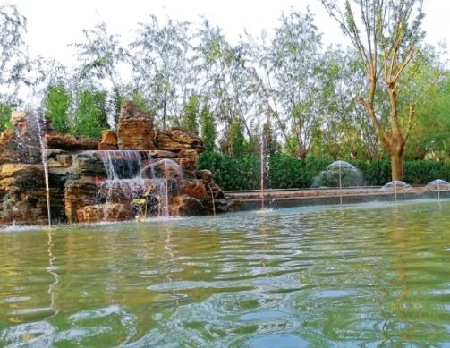 天津宜善园环境图片