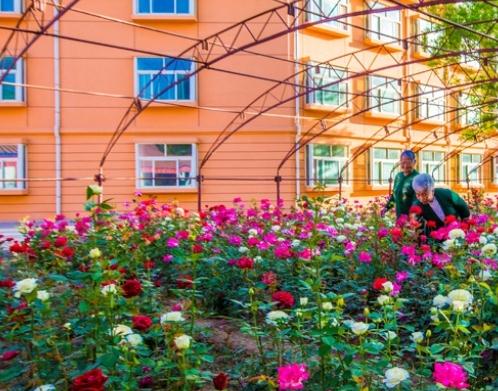 巴彦淖尔市康泰老人乐园环境图片