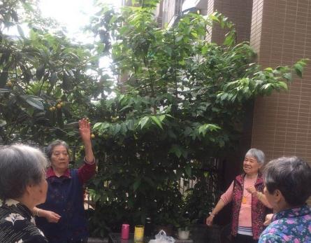 广安百善堂养老照护中心环境图片