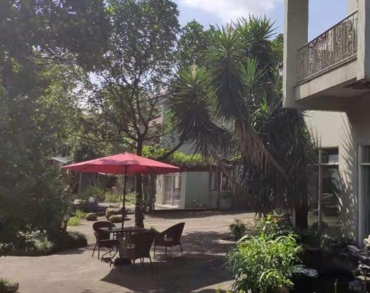 江门市银湖养老院_江门正规养老院目录,江门正规养老院目录最新