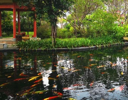 佛山天福养老社区环境图片