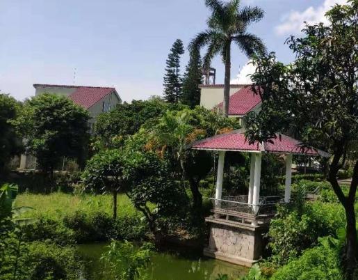 江门市银湖养老院_江门价格便宜养老院,江门 养老院