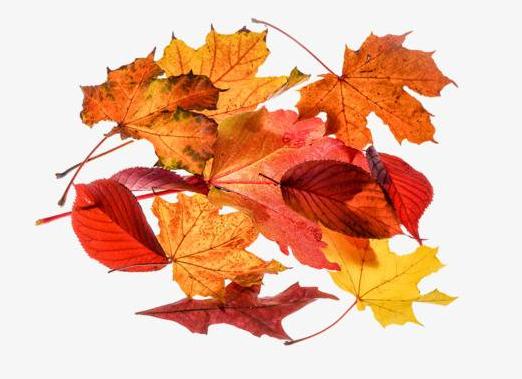 北京五星级养老院（北京民众护理院）！