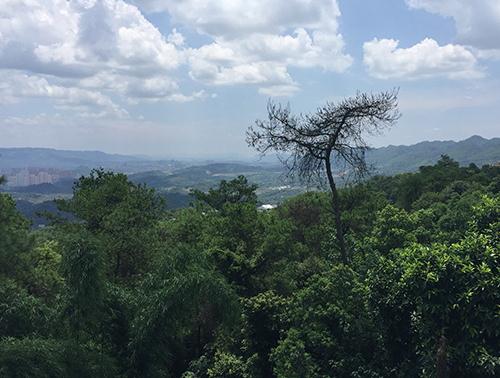 南山养老院科普养老院模式及老人饮食禁忌！