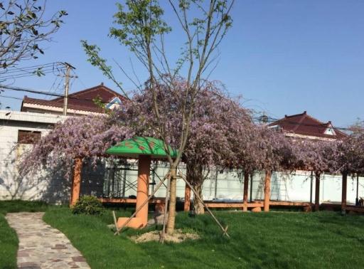 康乐福上海鑫阳养老院怎么样（康乐福上海鑫阳养老院价格及简介）！