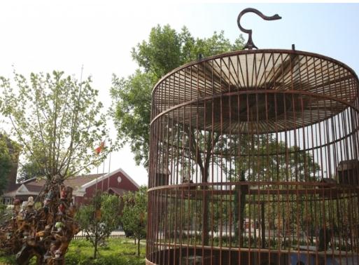 河西区爱晚亭养老院环境图片