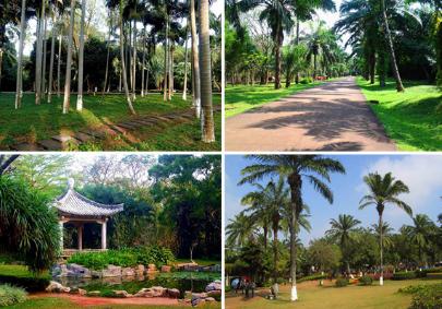 海口绿康元中医康养基地环境图片