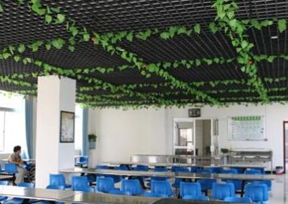 西安康桥老年公寓环境图片