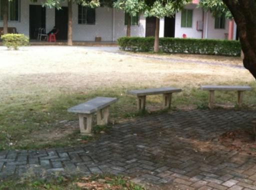 广州市从化区养老院有哪些？