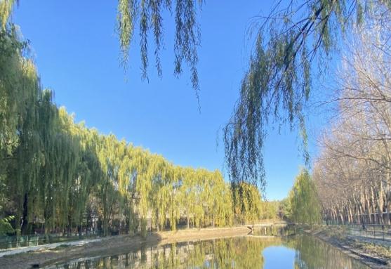 沈阳九如城康养中心皇姑院_沈阳5000元左右养老院列举几家