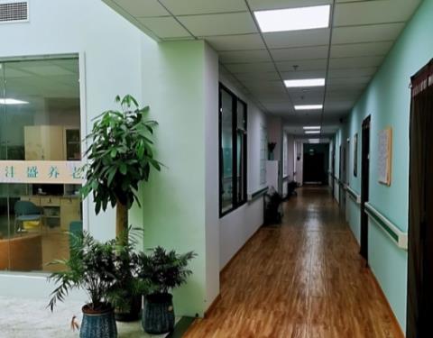 南京沣盛养老院