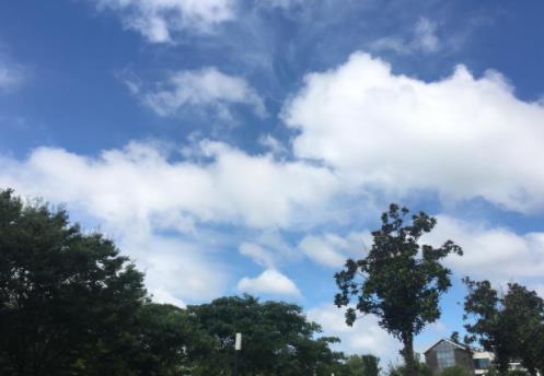 九如城（泗阳）康养中心环境图片