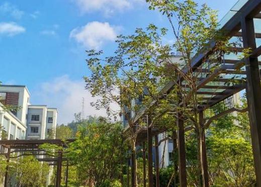 惠州碧桂园永湖山庄老年公寓_惠州养老院,惠州养老院有哪几家