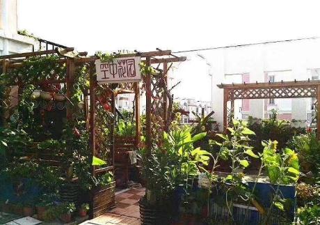 青岛圣康老年护养院环境图片