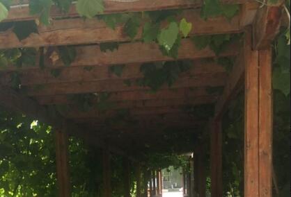 北京市昌平区江山老年公寓环境图片