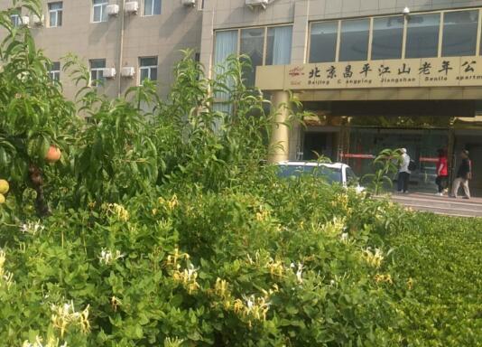 北京市昌平区江山老年公寓环境图片