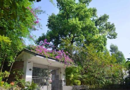 南充晚晴养老会所_南充优质养老院,南充医养结合养老院