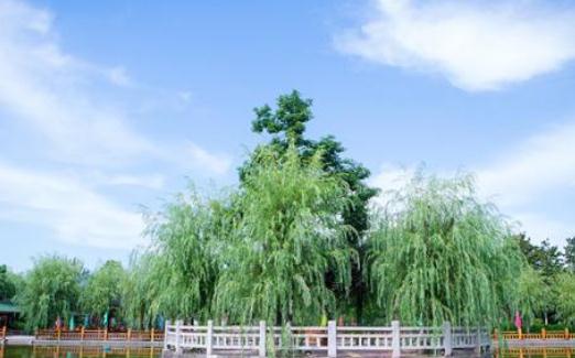 陕西汉中东方老年公寓环境图片