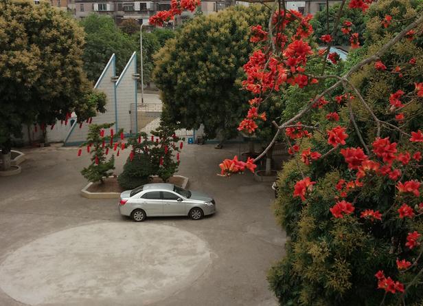 茂名市慈爱颐养院_茂名比较有名的养老院列举几家,茂名哪里有老人院