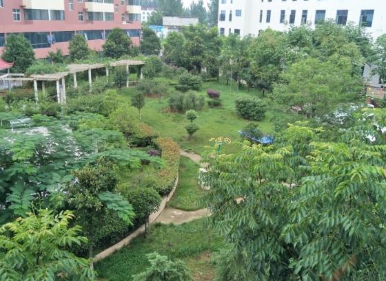 南阳乐如家老年服务中心_南阳养老院,南阳养老院招护工