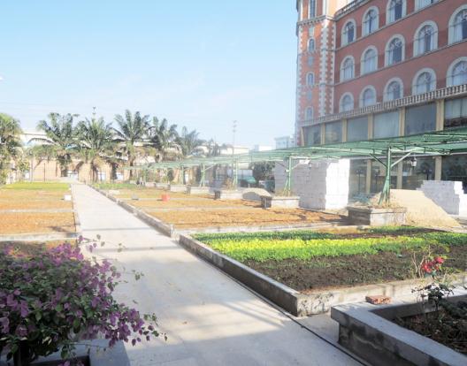 东莞豪享康乐养老院_东莞6000元老年护理院,东莞老人护理中心