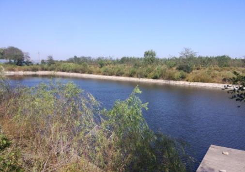 大连金州新区卧龙国际养老中心环境图片