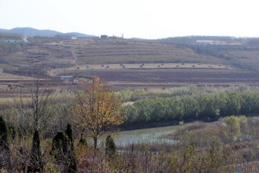 大连金州新区卧龙国际养老中心环境图片